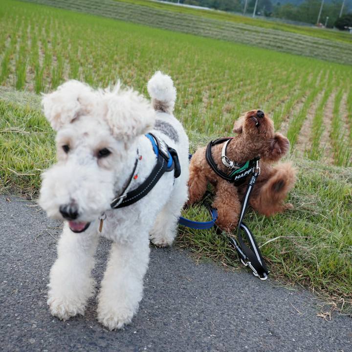 Ff4b2d43 d00c 4ff8 8cf8 18ae7f04e137