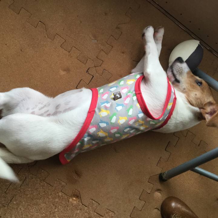 Ff4b5f18 7f82 446a afa5 70f04ced61ca