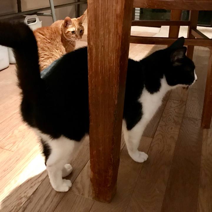 Ff4be369 d264 4cde 95ab 62f098d6fc93