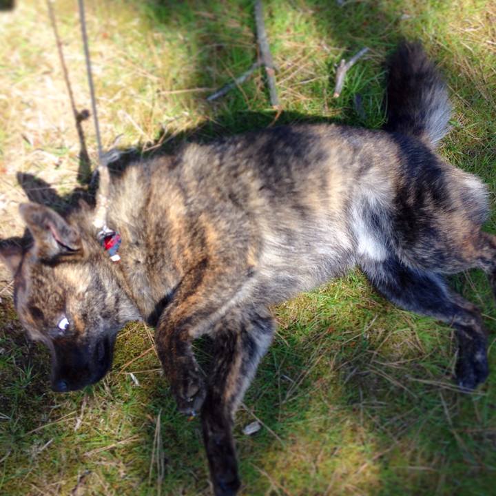 Ff4cd9c6 f9b5 47e7 8988 b2516482f8b4