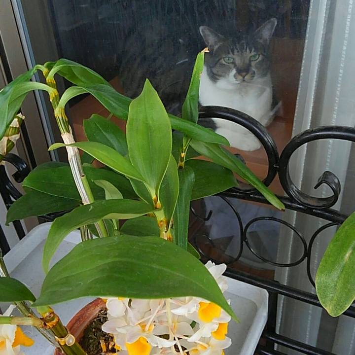 Ff4d1d2a 06a5 449e 9ea2 a317f38fb52e