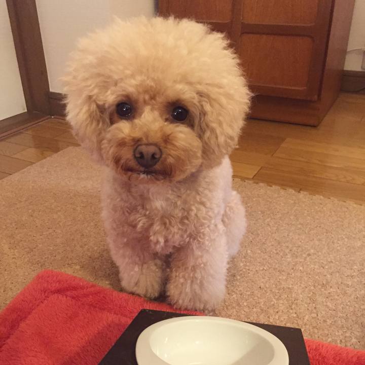 Ff4dc82d cd35 4b9b 95b3 7d1249fd2b69