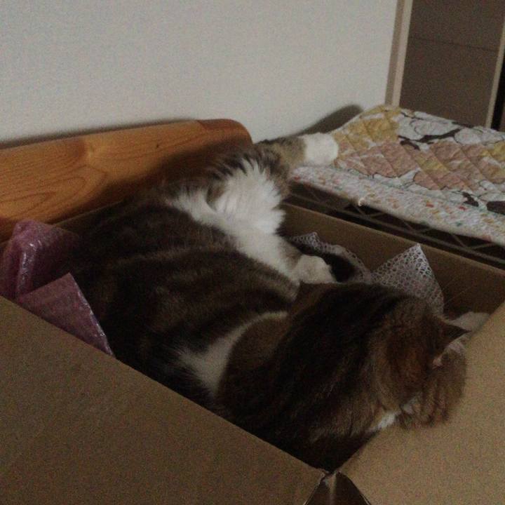 Ff4dd52d 7fdc 4396 aec3 2d3bd56a88e8