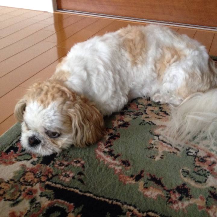 Ff4dd624 eeda 4f69 819c 7bcb090612f1