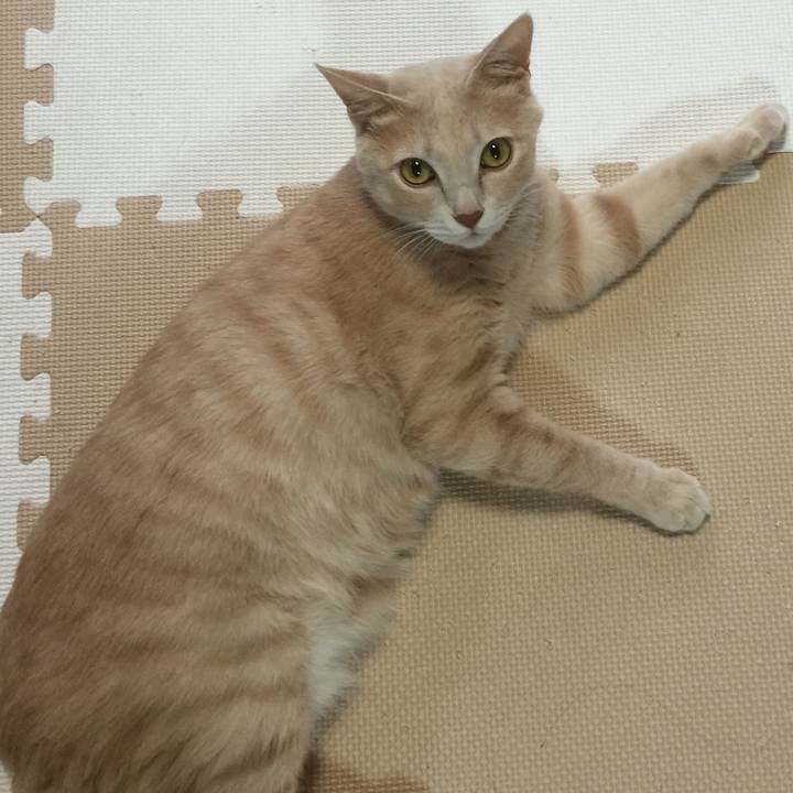 Ff4e3993 0726 4114 9897 20b9e930cf3f