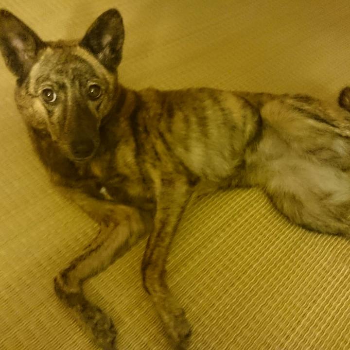 Ff4e630d 60b9 4aea 9929 29d714a6788e