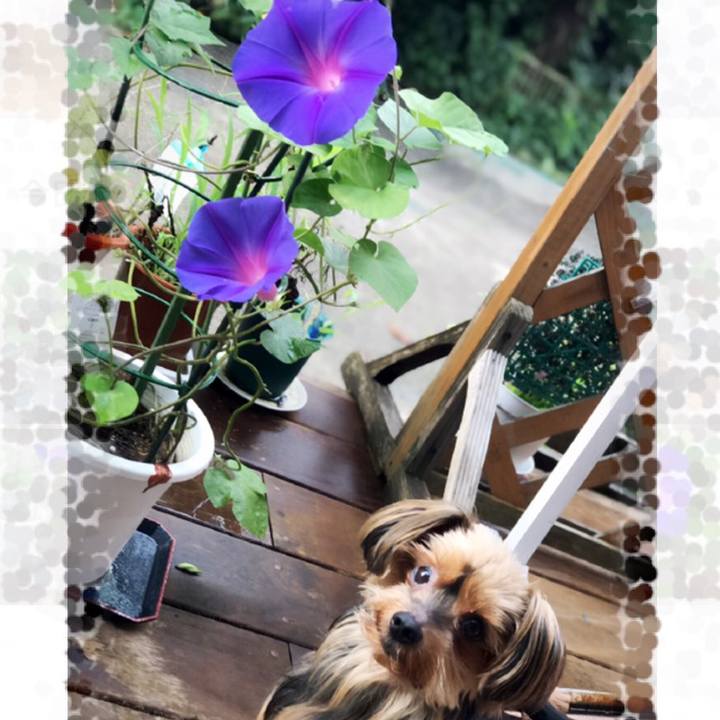 Ff4ea277 6f66 487e 84f1 1beb09aec535