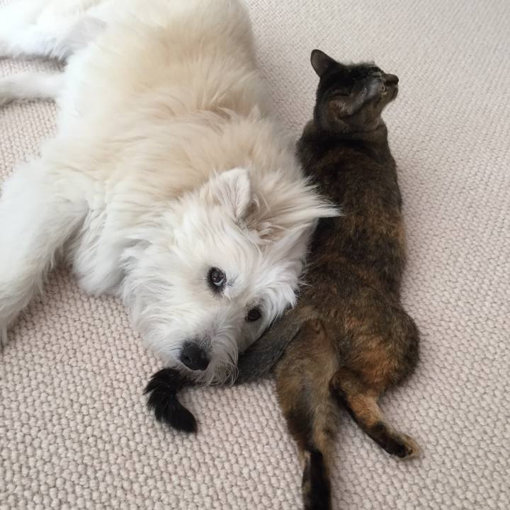 Ff4f5814 60fe 476f b7fa 757b0f9c3100