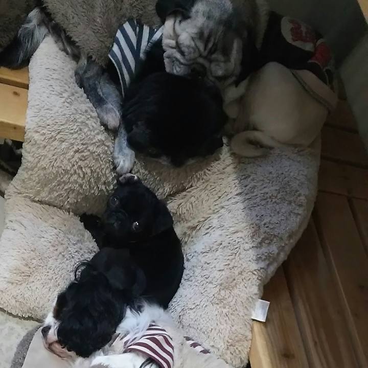 Ff4f69c1 fbe2 4c3b 995f 29b294b7afa3