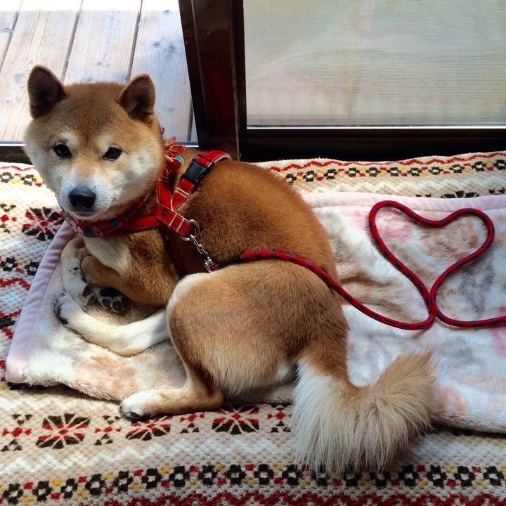 Ff4f8af8 c100 4a7b b881 9d006cecce33