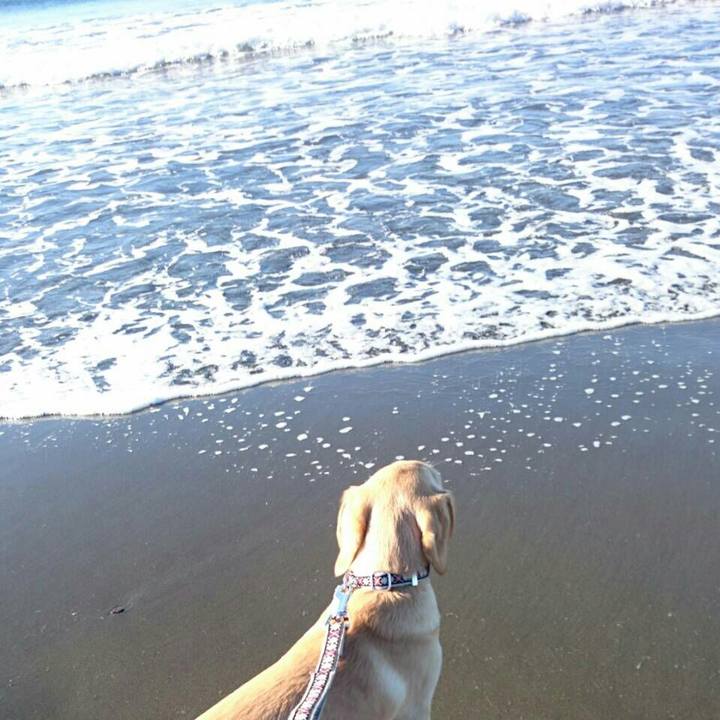 Ff5057e0 e35a 4b55 af85 efbf23500f7a