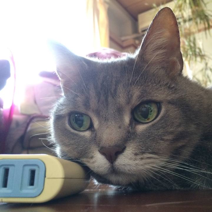 Ff510255 2b5f 43ea a395 2884112bcf2c