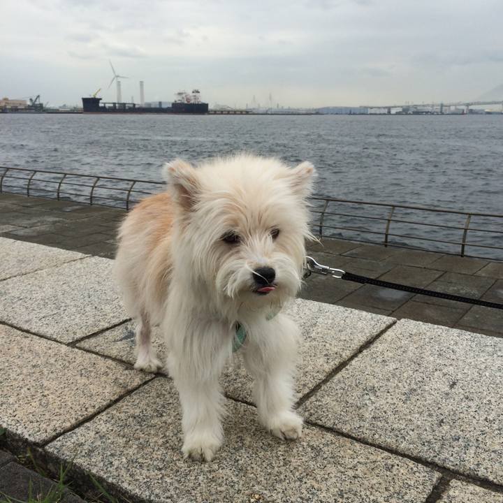 Ff510746 bf50 4ed7 b060 97da96542459