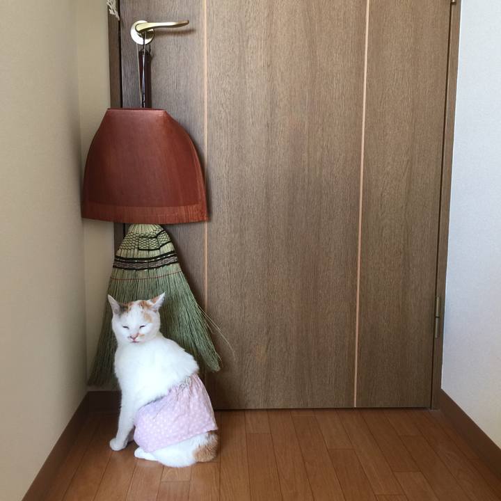 Ff517914 7ef9 4d11 87a5 62156c7edcf6