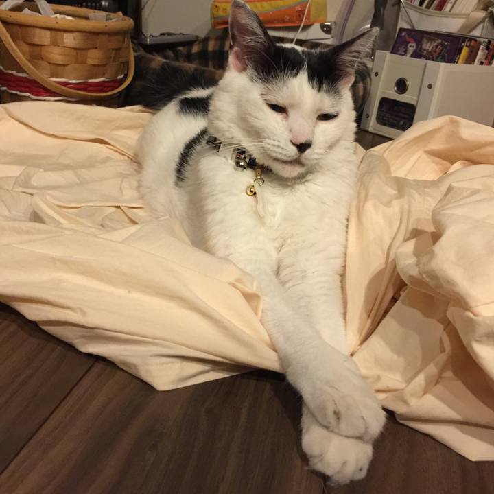 Ff519cad ac91 4e52 b6d3 0be0c232f269