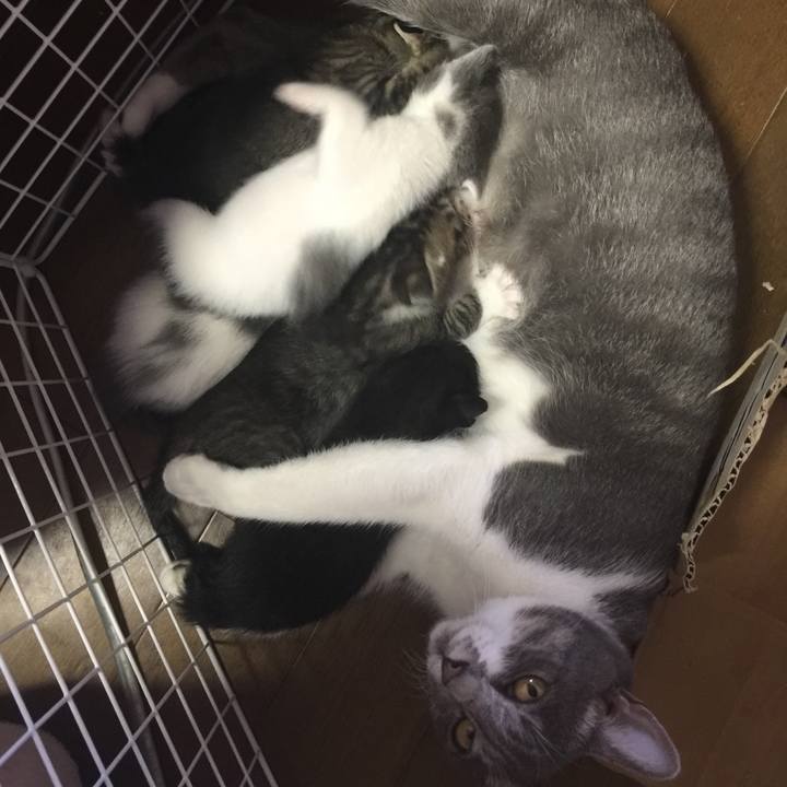 Ff51b9f0 b698 45bc 99c2 ddec172e8fcb