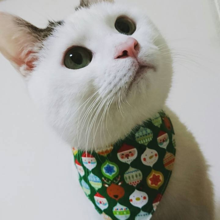 Ff523576 0644 4bdc b5d3 81938e321625