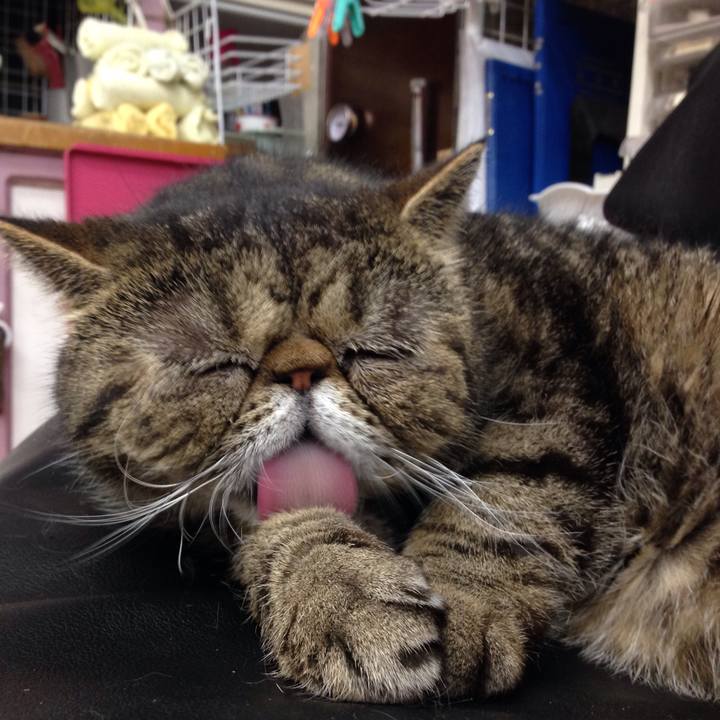 Ff531913 cbf9 4293 b45b d75f9c202f6d