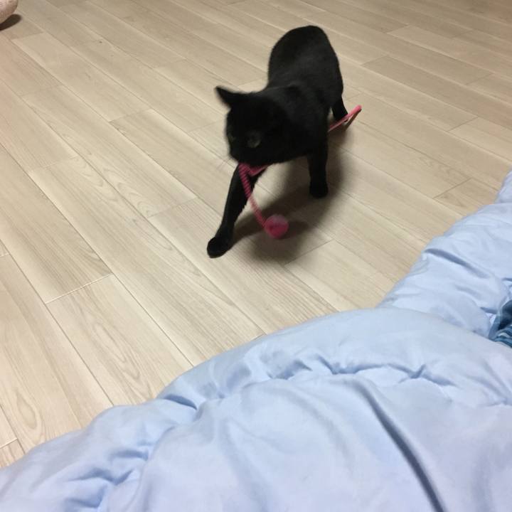 Ff53502a dba3 4e18 8233 ff51b0ca964a