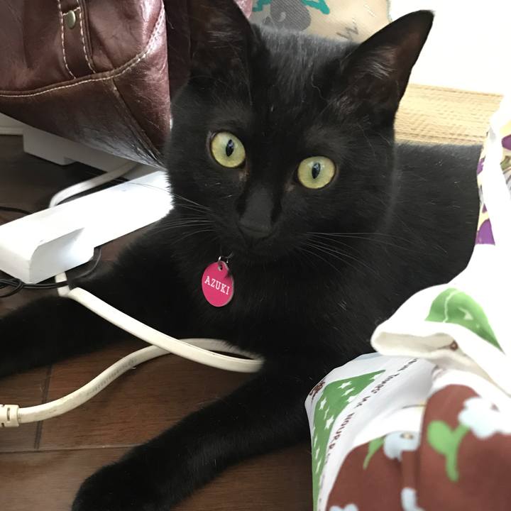 Ff536419 3a8b 4210 87d7 4bfc5bc91abf