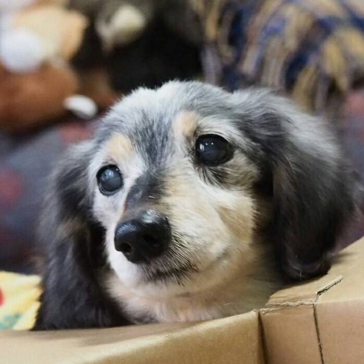 Ff5399a3 db36 4c0d 94ac 332ab0cab74a