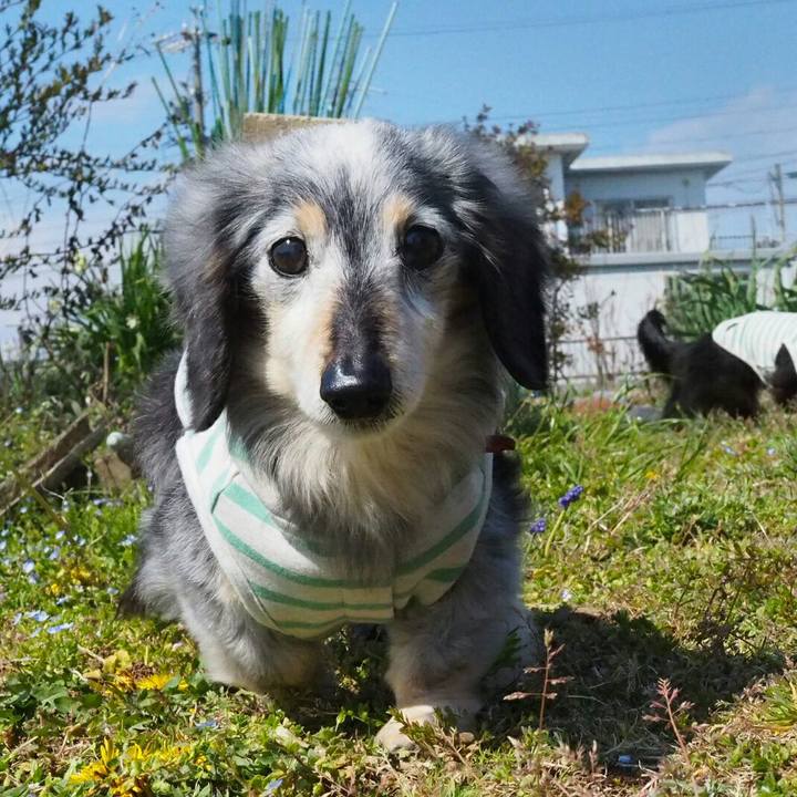 Ff53bb90 3e73 4f72 aaf1 4100986fd9aa