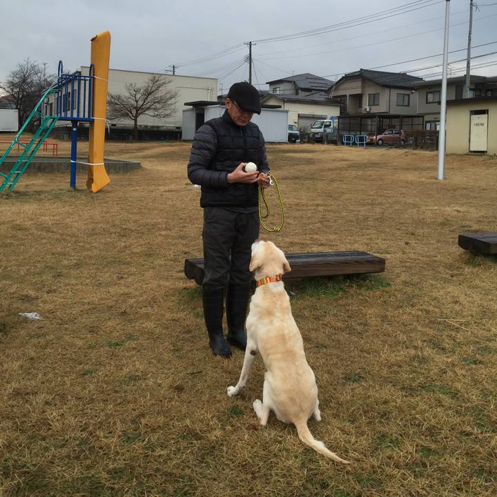 Ff550934 5478 4a85 857a 3515ccadf2d0