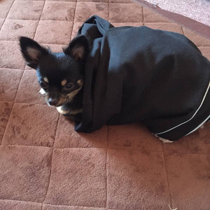 Ff5550de fcc6 48c7 8934 d861c8d5e02d