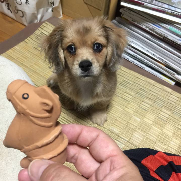 Ff55611c 0fe3 481e 9c7b 38eb4ed3a094