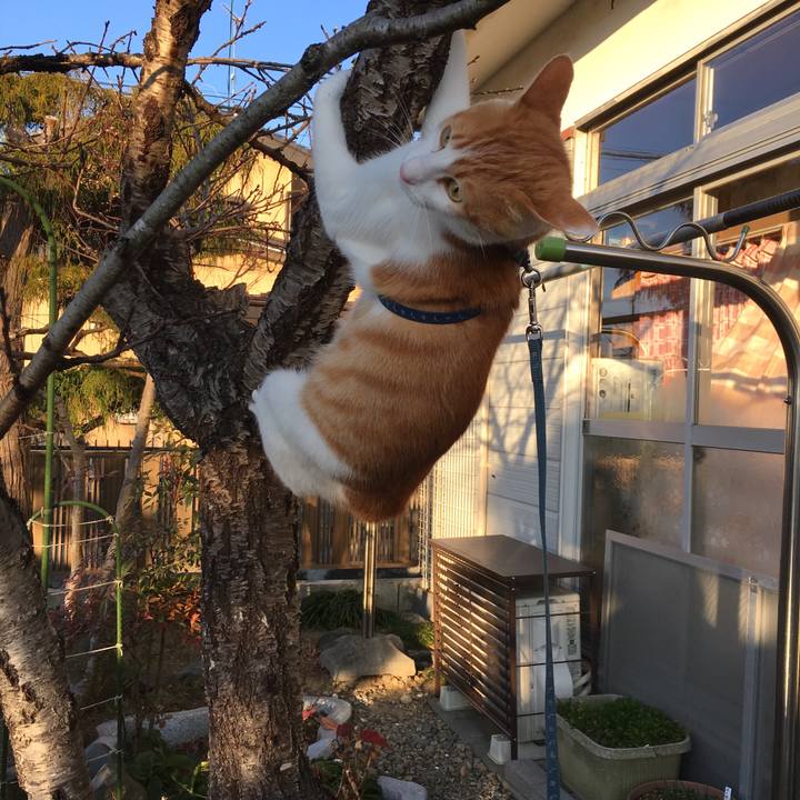 Ff5569c0 61f8 41a9 ad5f 14846c7b5141