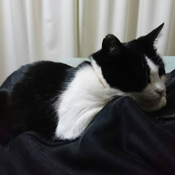 Ff55710c 1ef2 4410 aa61 dc29c7b269ae