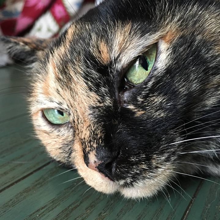 Ff559726 4a4f 4b7f ac8d 5a0a4ace5f81