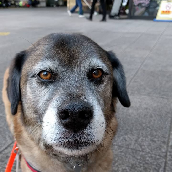 Ff55c8b6 e5c1 4d8f 80ce f11044de3341