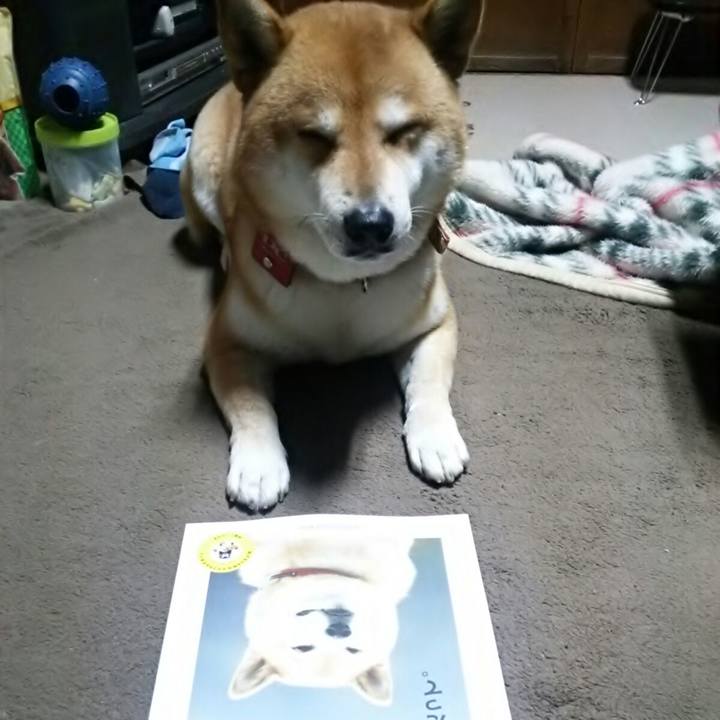 Ff5790e5 1008 4505 91a0 425dd65953b6