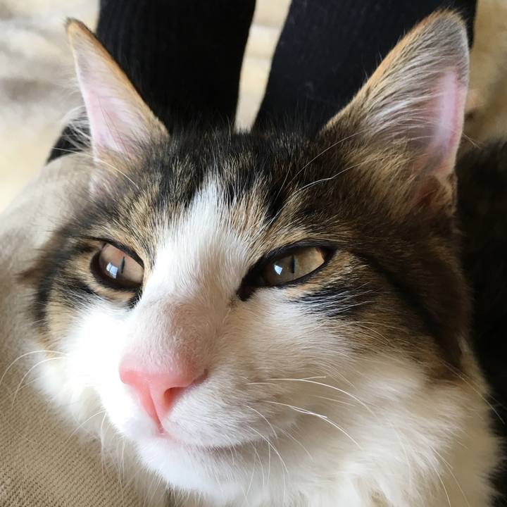 Ff585f5d c23b 4afe 93f5 3e4c173e1704