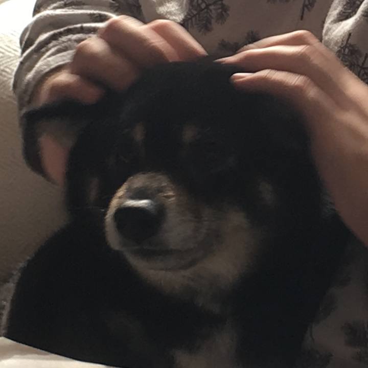 Ff590129 cc22 4c25 92d0 4a354cb1043e