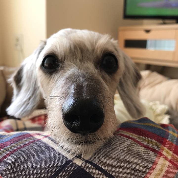 Ff590e54 01dd 4d7d b3c4 fc5bbe6f3319