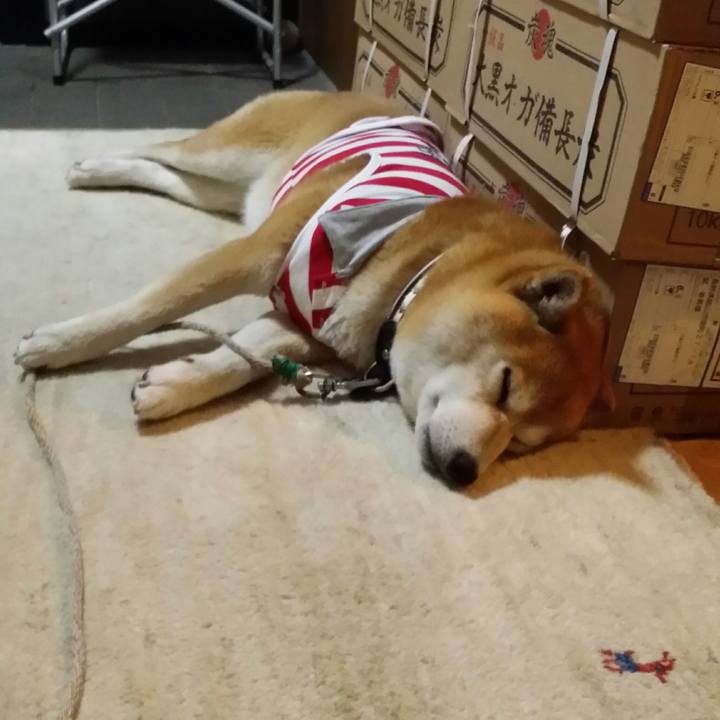 Ff598b9c b4b4 4e02 9e4c 3610c883f356