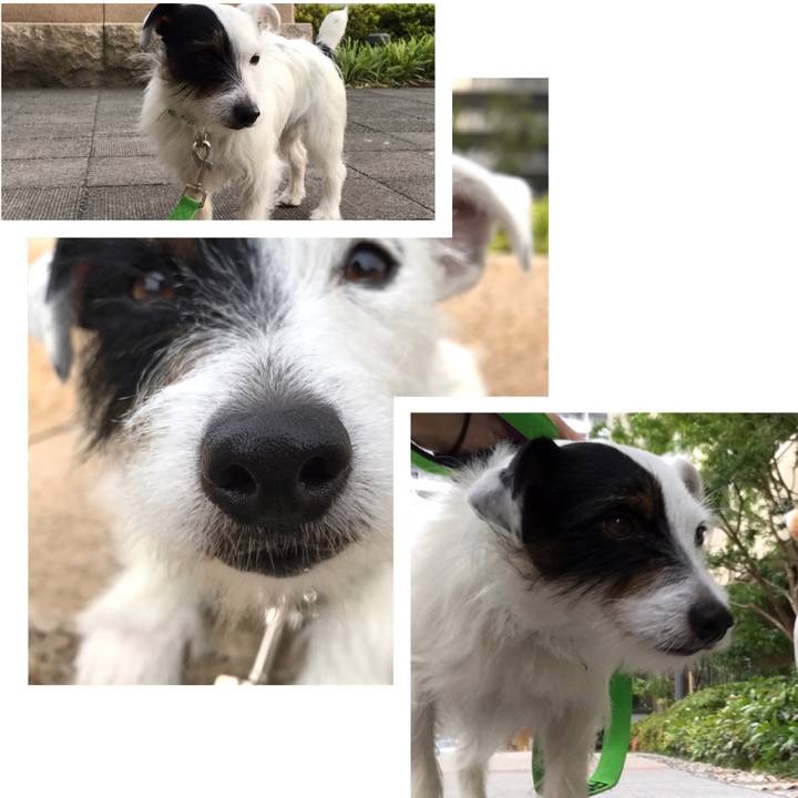 Ff59edfd 0c10 4c60 9ea8 ebf26cd27ddd