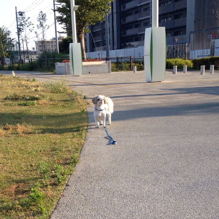 Ff5a2be4 d66c 4e2e 92f5 d826fd0a5b4b