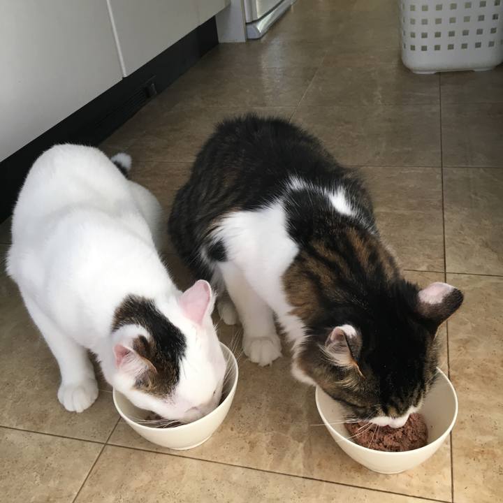 Ff5a5f84 d7ce 49f0 8867 6f7eafe78c97