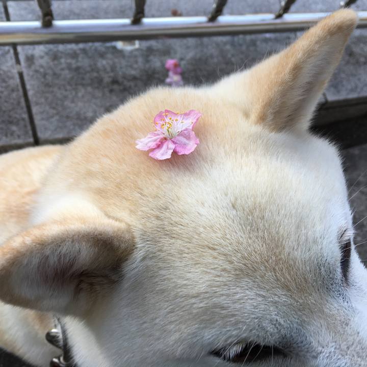 Ff5aee3a e6e6 44b5 a4f2 e03e80e597b5