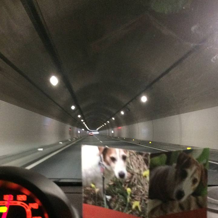 Ff5af132 4690 4d93 a97b d7f5038a49e6