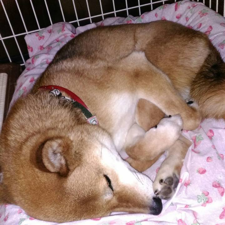 Ff5c0fc9 92c9 4db9 a3b8 aedad9d87981