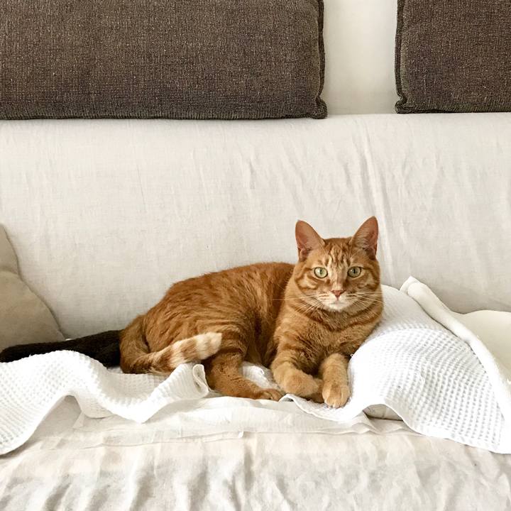 Ff5c3be3 8701 4a57 815a 3fb49425bc42