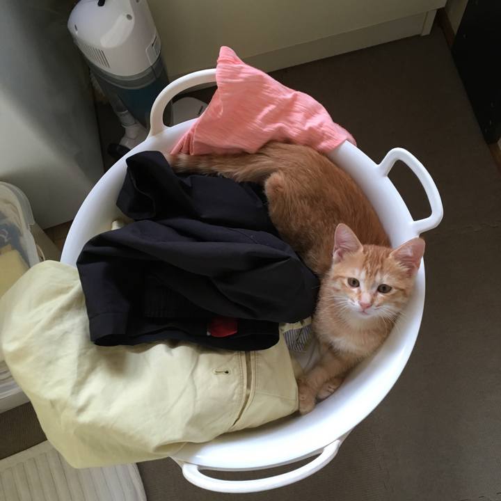 Ff5c3cc3 88bc 4bc6 80fa 8a05a63a94a6