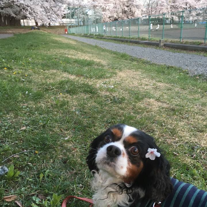 Ff5d1e19 5ab4 46da 8027 b8b50cf951ab