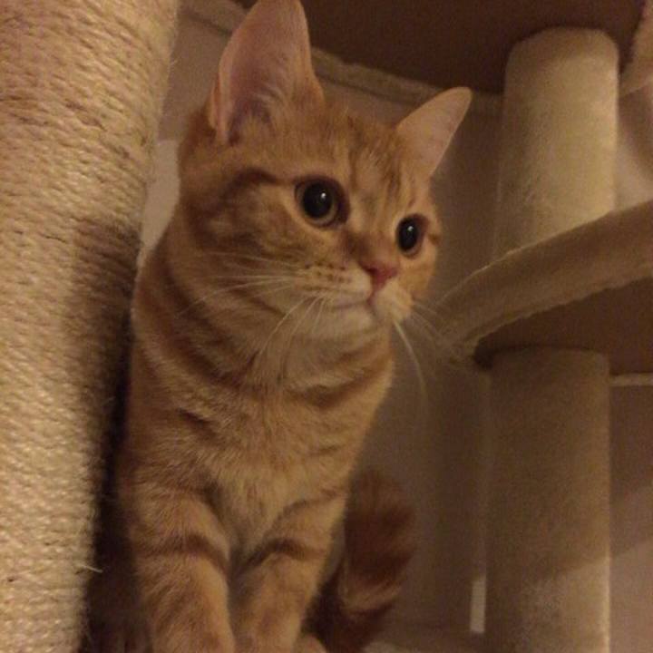 Ff5d524b 989e 4ea5 a7fa 5f47c1078dda