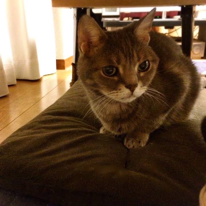 Ff5d7af2 ce14 44ee 961c 44676aa89e5b