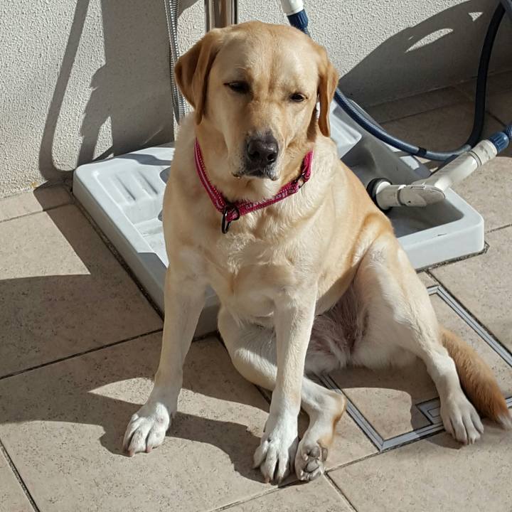 Ff5f0ac6 4706 44dc 84ac 527e8d11154e